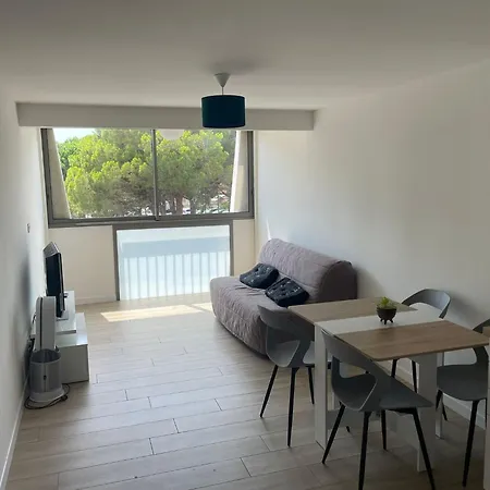 Les Pieds Dans L'eau Cyprien Apartment